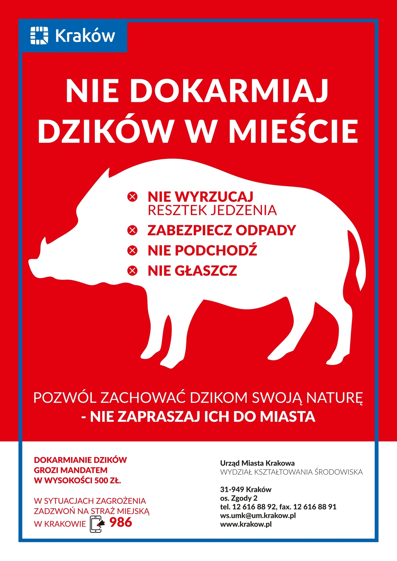 Nie Dokarmiaj Dzików w Lesie!