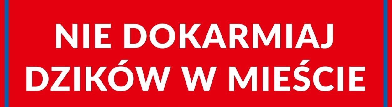 Nie Dokarmiaj Dzików w Lesie!