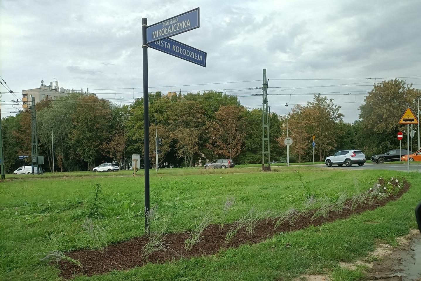 Nasadzenia w Dzielnicy XV Mistrzejowice